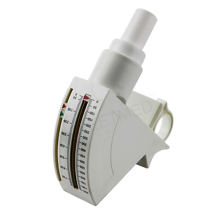 GT016-300 Peak Flow Meter
